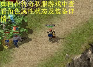 如何在传奇私服游戏中查看角色属性状态及装备详情？