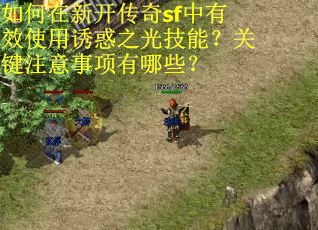 如何在新开传奇sf中有效使用诱惑之光技能？关键注意事项有哪些？