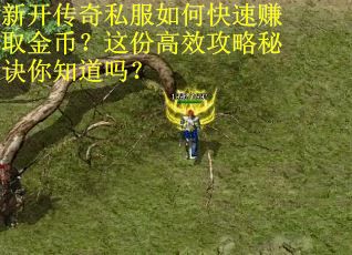 新开传奇私服如何快速赚取金币？这份高效攻略秘诀你知道吗？