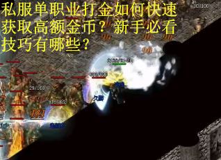 私服单职业打金如何快速获取高额金币？新手必看技巧有哪些？