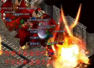 治봽αǿƽϮ֮·