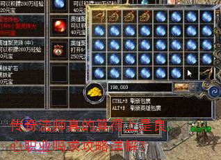 淨ʦְҵ⣿