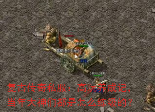 Ŵ˽ɼǣǶôģ