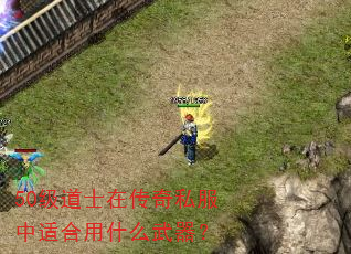 50级道士在传奇私服中适合用什么武器? 50级道士在传奇私服中适合用什么武器?