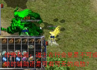 传奇私服:道士在行会里是不可或缺的辅助还是可有可无的鸡肋? 传奇私服:道士在行会里是不可或缺的辅助还是可有可无的鸡肋?