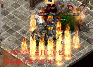 传奇私服:白日门小怪爆率真的那么低吗? 传奇私服:白日门小怪爆率真的那么低吗?