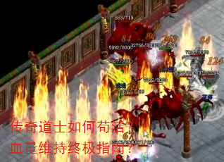 传奇道士如何苟活?血量维持终极指南? 传奇道士如何苟活?血量维持终极指南?