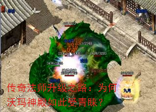 淨ʦ֮·Ϊ