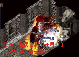 ʿֿ֣ĸBOSSʺ֣