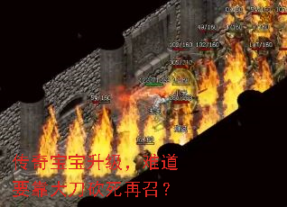 传奇宝宝升级,难道要靠大刀砍死再召? 传奇宝宝升级,难道要靠大刀砍死再召?