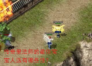 传奇里法师的最佳宝宝人选有哪些怪? 传奇里法师的最佳宝宝人选有哪些怪?