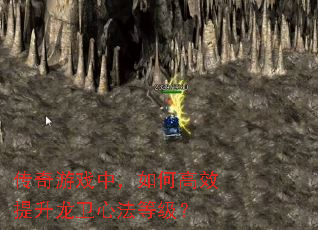 ϷУθЧķȼ