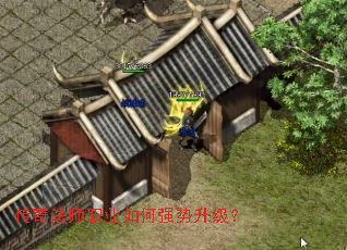淨ʦְҵǿ