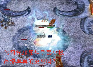 ˽СƷĸ