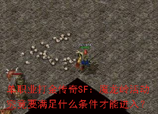 ְҵSFħҪʲôܽ룿