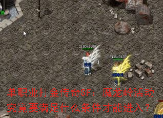 ְҵSFħҪʲôܽ룿
