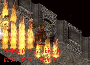 ɫΪӢ۾
