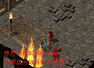 ¾ӢBOSSĳΪγΪսʤؼ