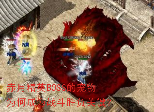 ¾ӢBOSSĳΪγΪսʤؼ