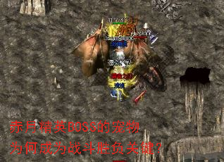 ¾ӢBOSSĳΪγΪսʤؼ