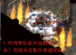 1.95ô죿Чͻƣ