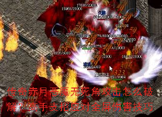 ¶ħǹôƽ⣿֧Ӧȫ˺