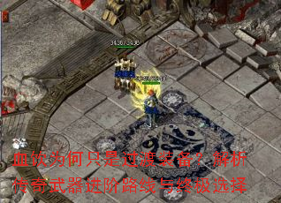 ѪΪֻǹװ·ռѡ