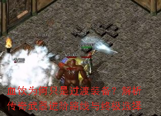 ѪΪֻǹװ·ռѡ