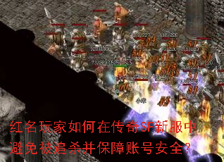 ڴSF·бⱻ׷ɱ˺Űȫ