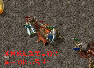 οټͨװеļƷԣ