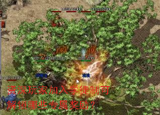 资深玩家加入学徒制可解锁哪些专属奖励? 资深玩家加入学徒制可解锁哪些专属奖励?