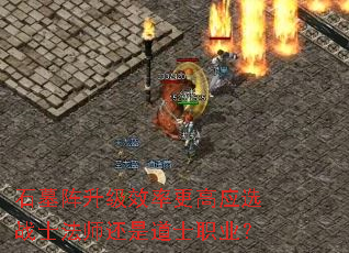 ʯĹЧʸӦѡսʿʦǵʿְҵ