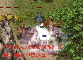 ڴ˽PKʱѪӡѹƶ֣