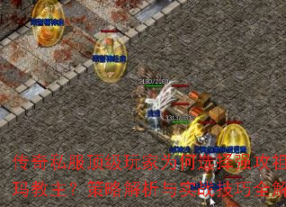 ˽ΪѡǿԽʵսȫ