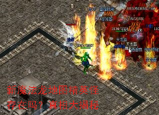 新魔法龙地图精英怪存在吗?真相大揭秘 新魔法龙地图精英怪存在吗?真相大揭秘