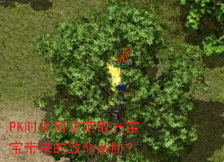 PK时如何防范敌方宝宝带来的致命威胁? PK时如何防范敌方宝宝带来的致命威胁?