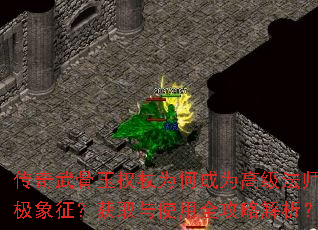 ȨΪγΪ߼ʦռȡʹȫԽ