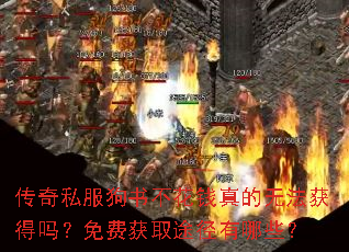 传奇私服狗书不花钱真的无法获得吗?免费获取途径有哪些? 传奇私服狗书不花钱真的无法获得吗?免费获取途径有哪些?