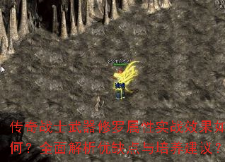 传奇战士武器修罗属性实战效果如何?全面解析优缺点与培养建议? 传奇战士武器修罗属性实战效果如何?全面解析优缺点与培养建议?