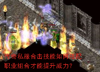 ˽ϻδְҵϲ