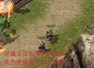 SF道士达到哪些等级后实力能迎来飞跃性突破? SF道士达到哪些等级后实力能迎来飞跃性突破?