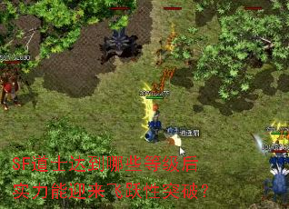 SF道士达到哪些等级后实力能迎来飞跃性突破? SF道士达到哪些等级后实力能迎来飞跃性突破?