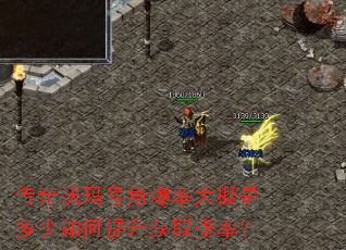 传奇沃玛号角爆率大概是多少如何提升获取概率? 传奇沃玛号角爆率大概是多少如何提升获取概率?