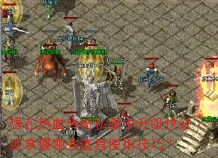 想在热血传奇私服中升级快必须掌握哪些道具使用技巧? 想在热血传奇私服中升级快必须掌握哪些道具使用技巧?