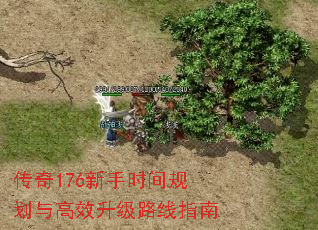 传奇176新手时间规划与高效升级路线指南 传奇176新手时间规划与高效升级路线指南