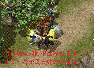 传奇玩家如何根据等级选择地图?各阶段高效攻略解析 传奇玩家如何根据等级选择地图?各阶段高效攻略解析