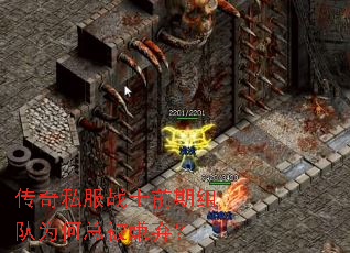 传奇私服战士前期组队为何总被嫌弃? 传奇私服战士前期组队为何总被嫌弃?