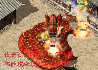 传奇新装团队应如何搭配才能攻克领队大厅难关? 传奇新装团队应如何搭配才能攻克领队大厅难关?