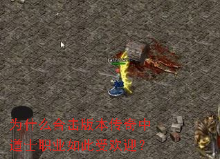 Ϊʲôϻ汾еʿְҵܻӭ