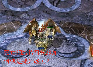 死亡细胞传奇私服如何快速提升战力? 死亡细胞传奇私服如何快速提升战力?